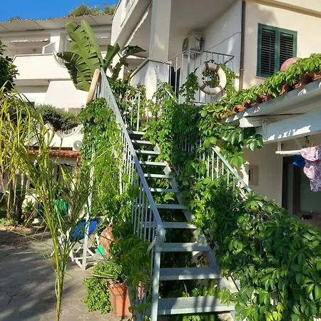 Lägenhet Tropea Gargano